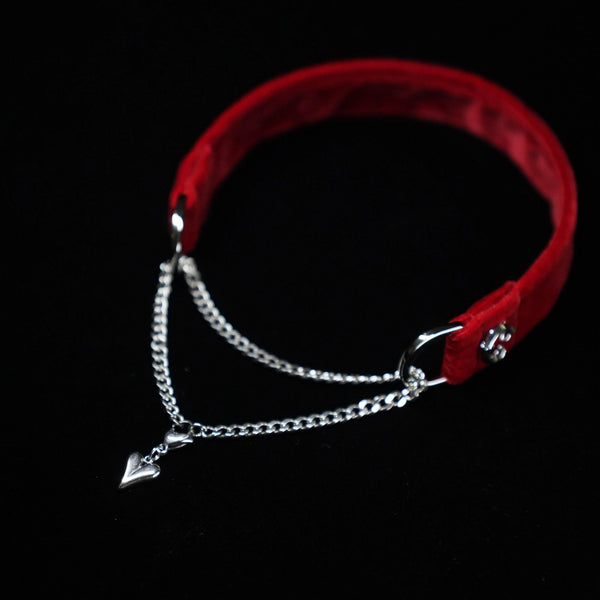 DSC1991 - VelourBliss