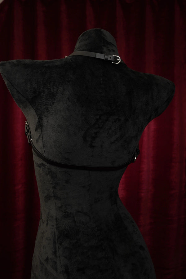 DSC4481 - VelourBliss