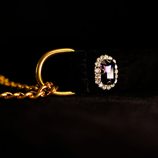 Moonlit Majesty Velvet Choker