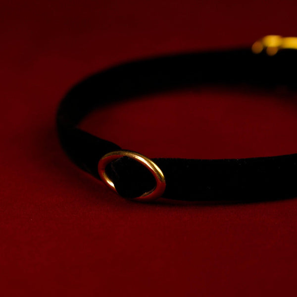 DSC6154 - VelourBliss