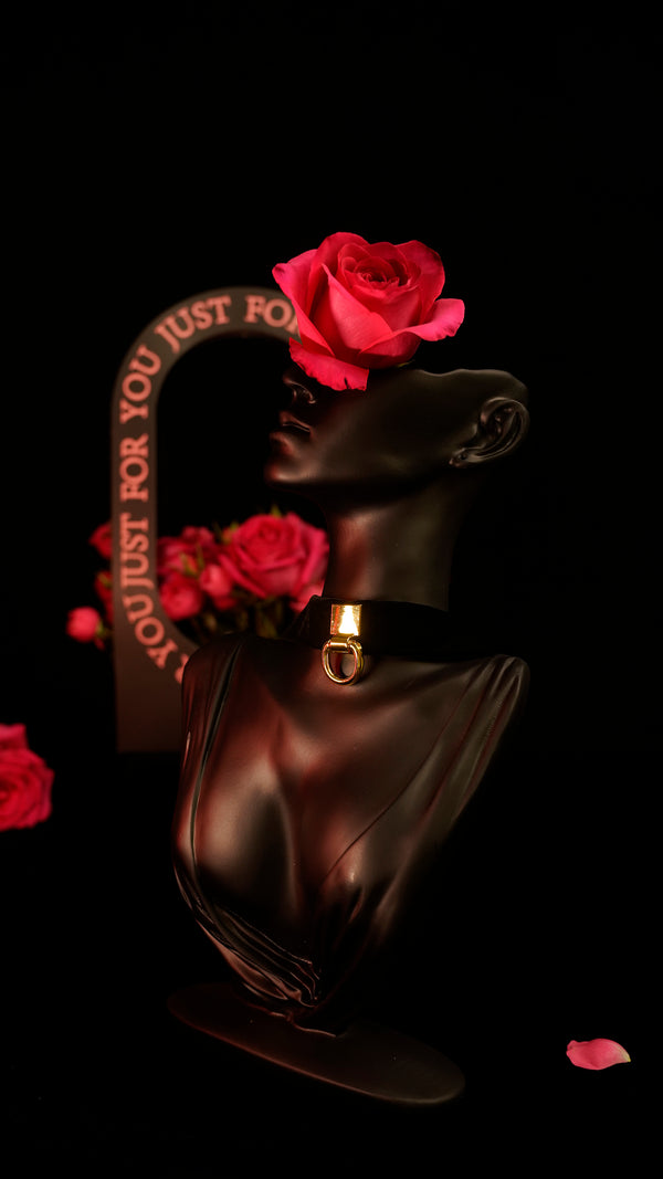 Wide Strap Velvet Choker