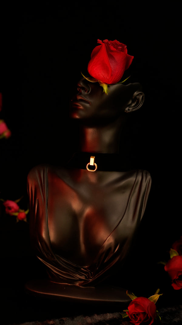 Slanke fluwelen choker met bandjes