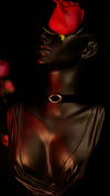 DSC6367 - VelourBliss