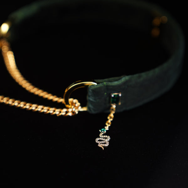 Medusa—Gaze of Stone Set