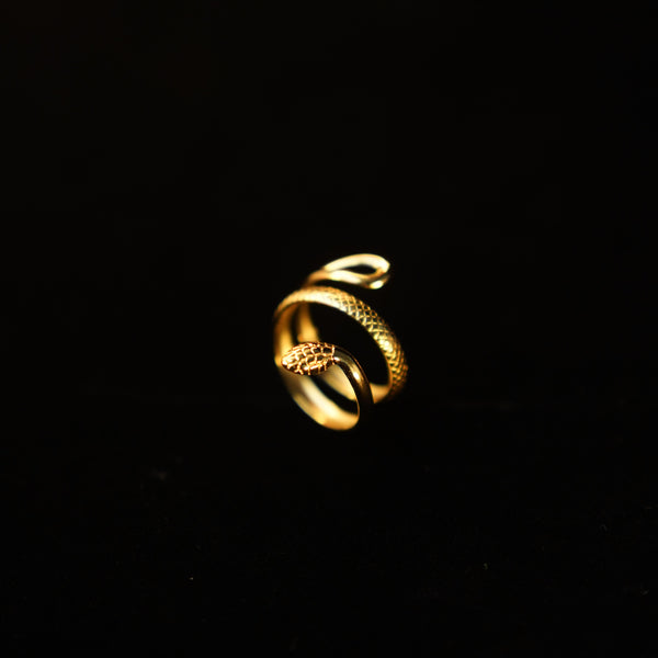 Medusa—Gaze of Stone Set