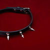 Punk Pact Couple's Spiked Leather Choker