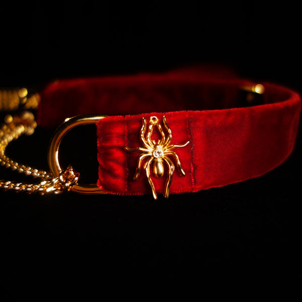 Gold-tone spider and O-ring details on scarlet velvet