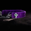 DSC3838 - VelourBliss