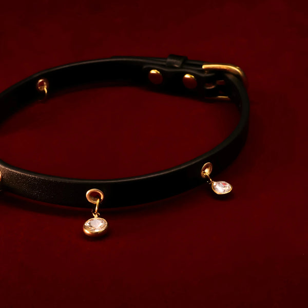 Punk Pact Couple's Spiked Leather Choker